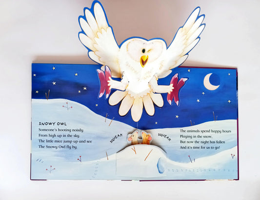 The Very Bouncy Bear (Popup Book)