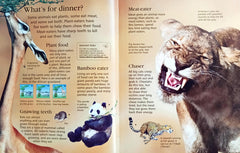 Usborne First Encyclopedia of Animals