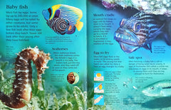 Usborne First Encyclopedia of Animals