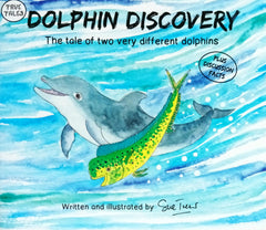 Dolphin discovery