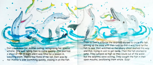 Dolphin discovery