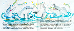 Dolphin discovery