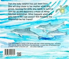 Dolphin discovery