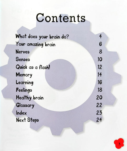 Your Brain