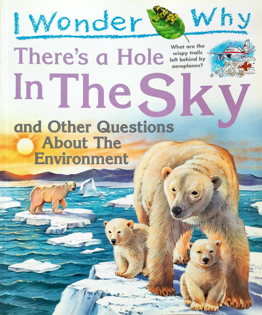 There's hole in the Sky (I wonder Why)