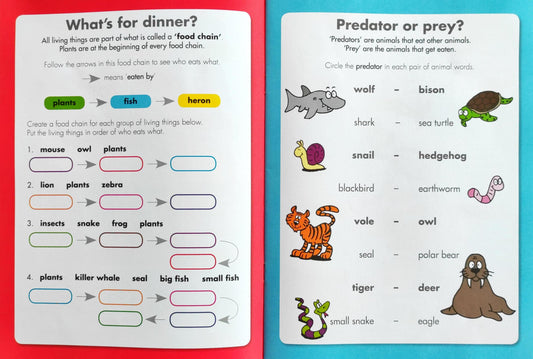 Homework Helper's Science (Age 7+)