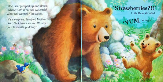 Little Bear's Big Adventure