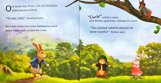 Peter Rabbit Football Fever