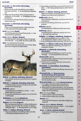 Oxford Children's Colour Dictionary