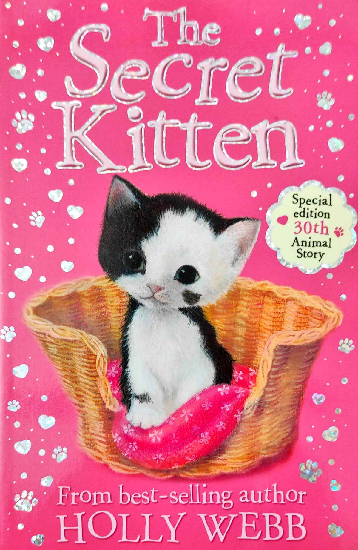 The Secret Kitten