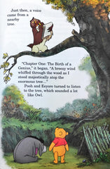 Disney Winnie The Pooh