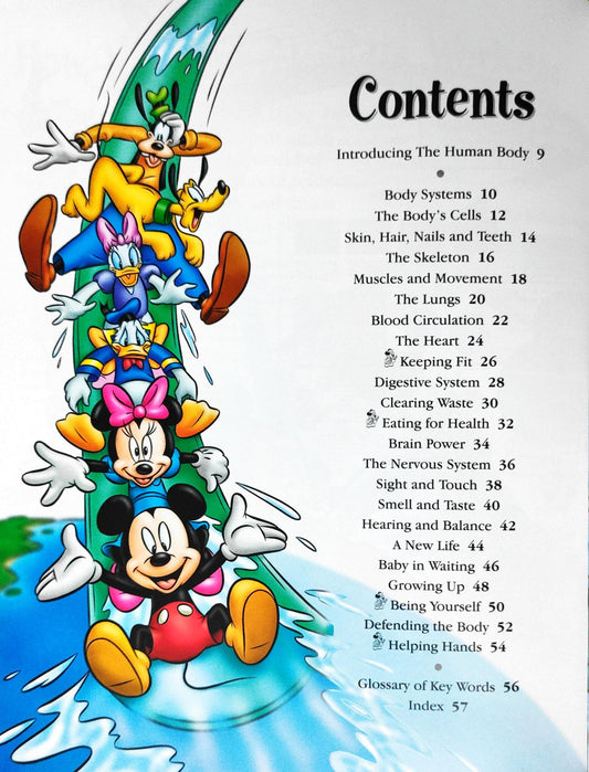 Disney Human Body  (The Wonderful World Of Knowledge)