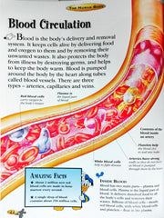 Disney Human Body  (The Wonderful World Of Knowledge)