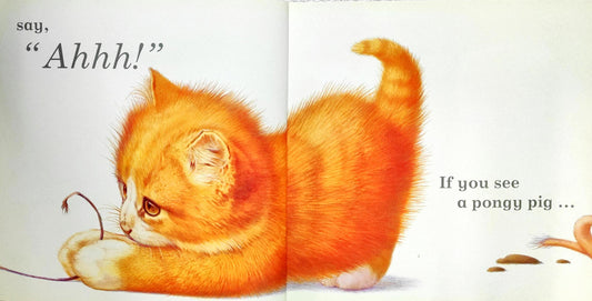If You See A Kitten