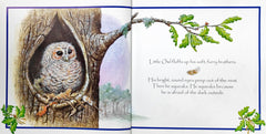 The Brave Little Owl
