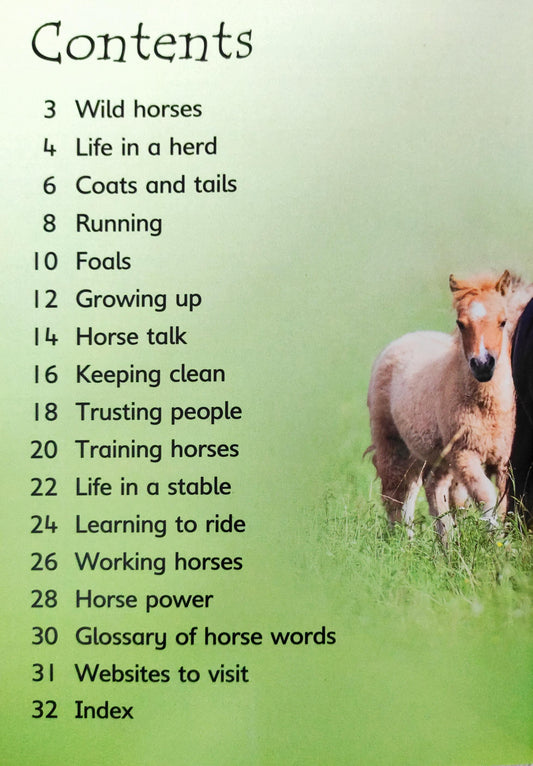 Horses And Ponies (Usborne)