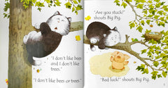 Usborne Phonics Fat Cat On A Mat