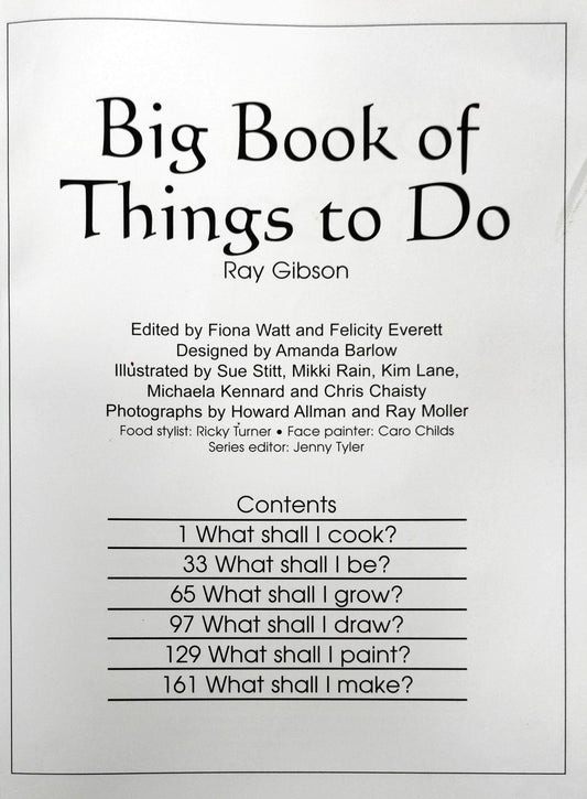 Usborne Big Book Of Thing To Do