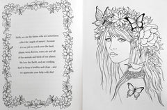 Messages From The Fairies