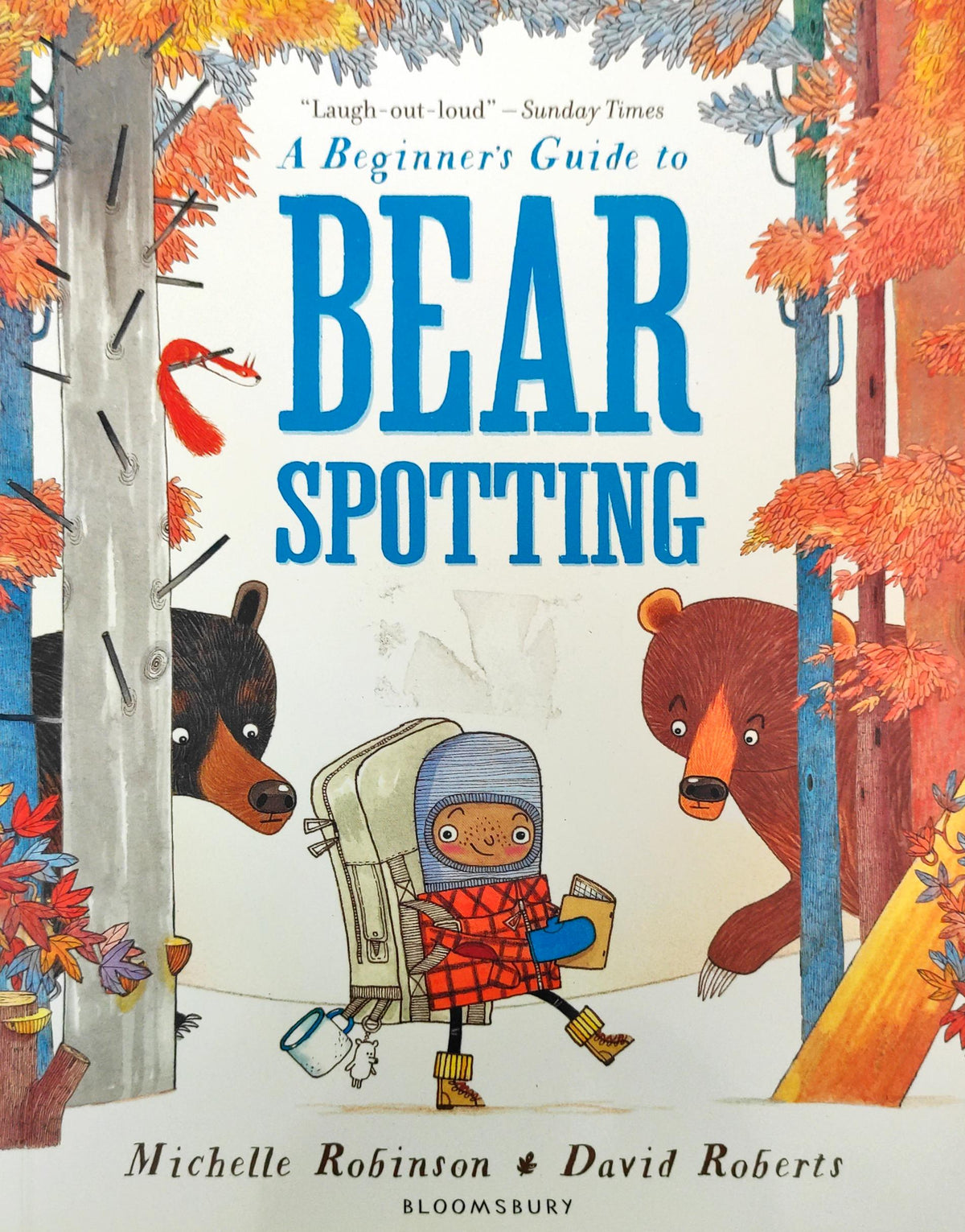 A Beginner's Guide To Bear Spotting