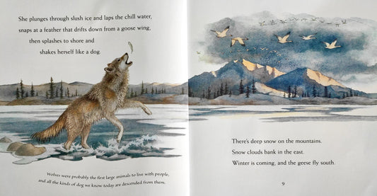 Walk With A Wolf
