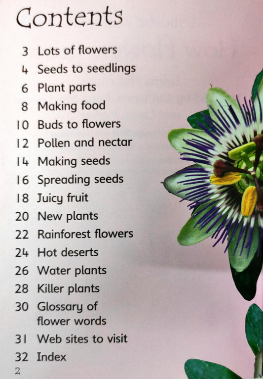 Usborne How Flowers Grow