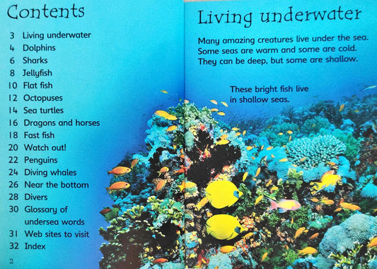 Usborne Under The Sea