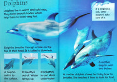 Usborne Under The Sea