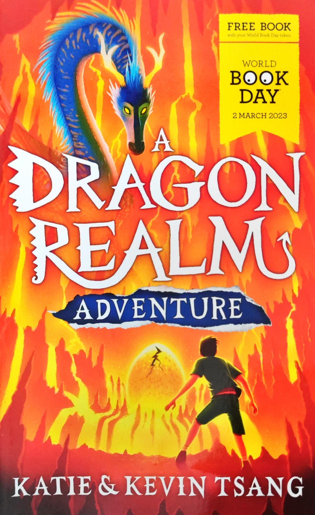 A Dragon Realm Advanture