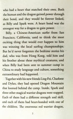 A Dragon Realm Advanture