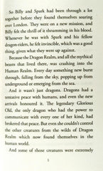 A Dragon Realm Advanture