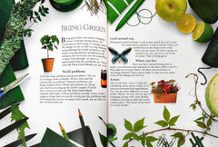 My First Green Book( Large Hardcover )