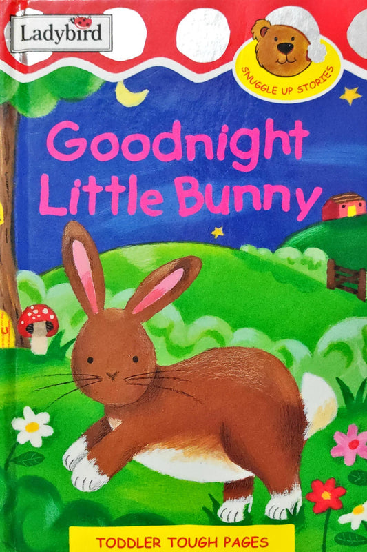 Goodnight Little Bunny