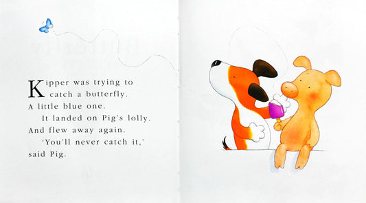 Butterfly