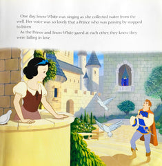 Disney A Princess in Hiding