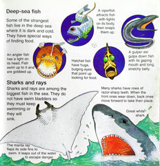 Usborne What's under the sea?