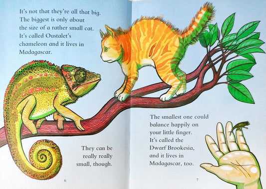 Chameleons are cool
