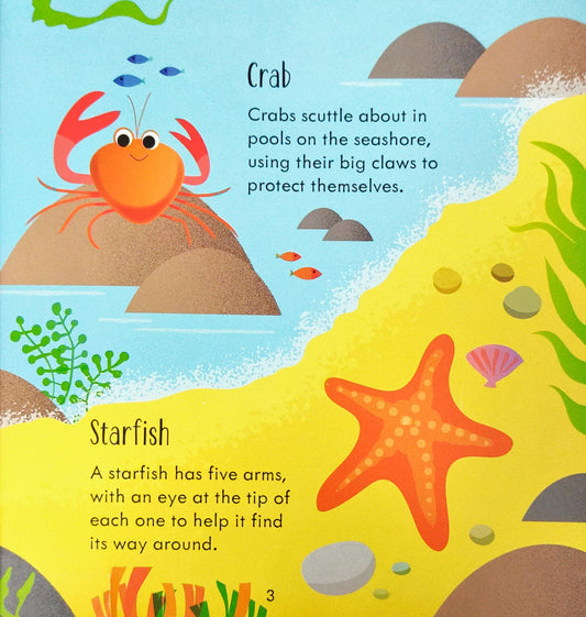 Usborne Under the sea Matching Games