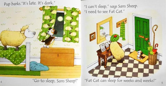 Usborne Phonic Readers Combo 3 (8 Books)