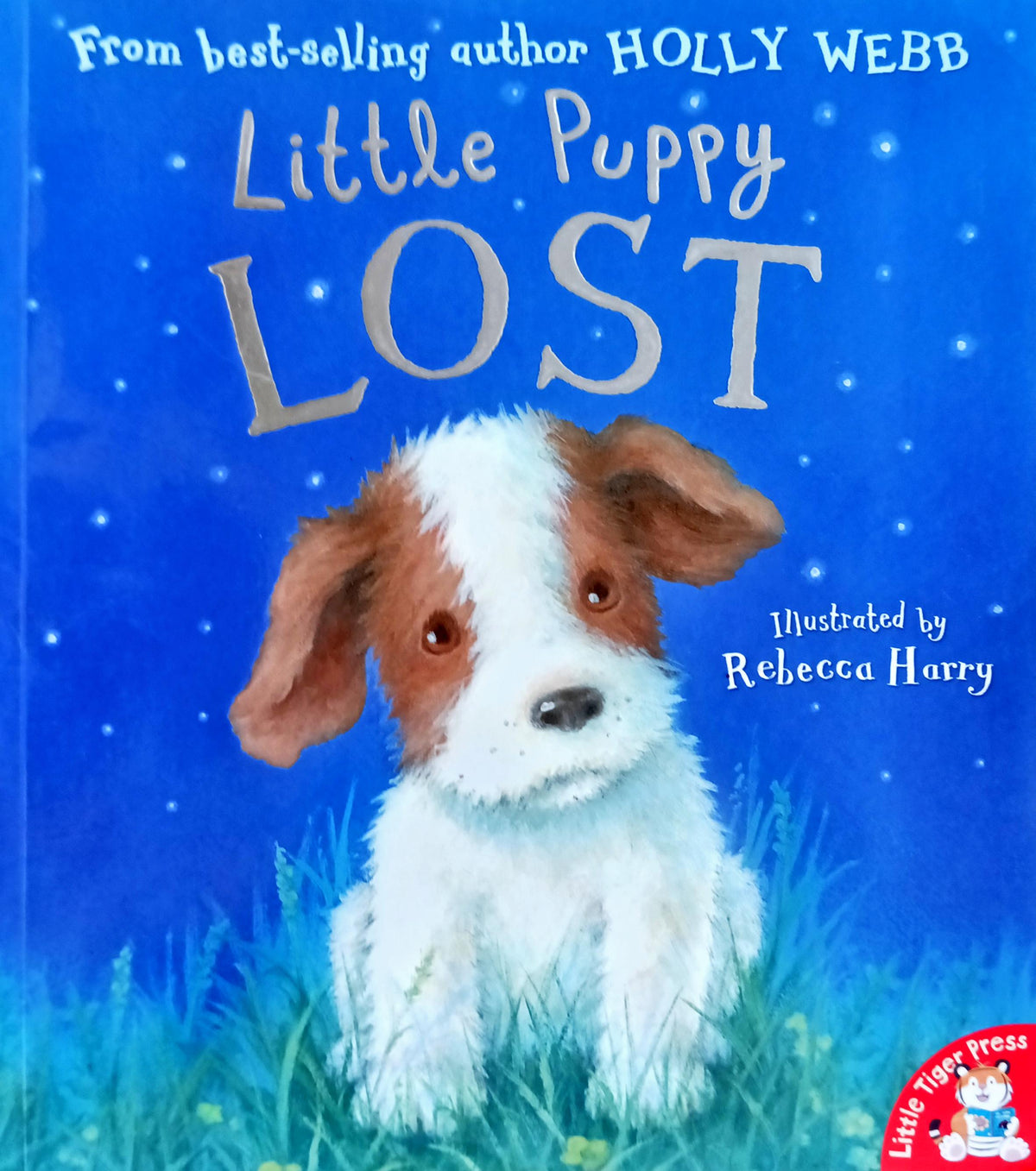 Little puppy lost