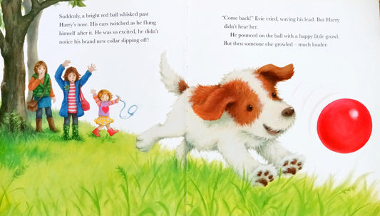 Little puppy lost