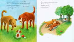 Little puppy lost