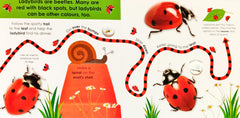 Follow the Trail Minibeasts