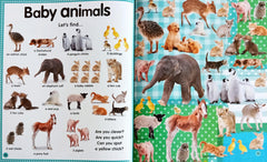 Hide and Seek Animals