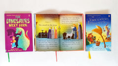 Usborne Young Reading Set 2 (3 Books)