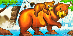 Bears Bears and More Bears