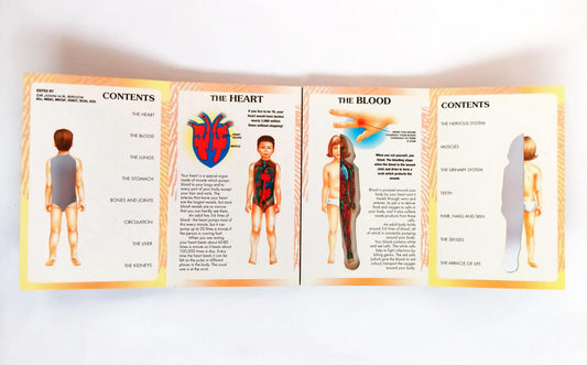 My first book of The Human Body
