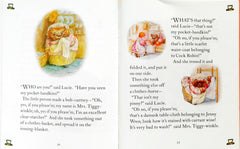 Peter Rabbit Combo Set 5 (5 Books)
