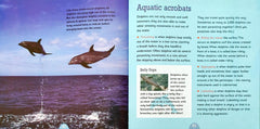 All About Animal Combo (2 Books)