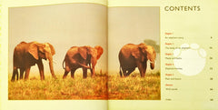 All About Animal Combo (2 Books)